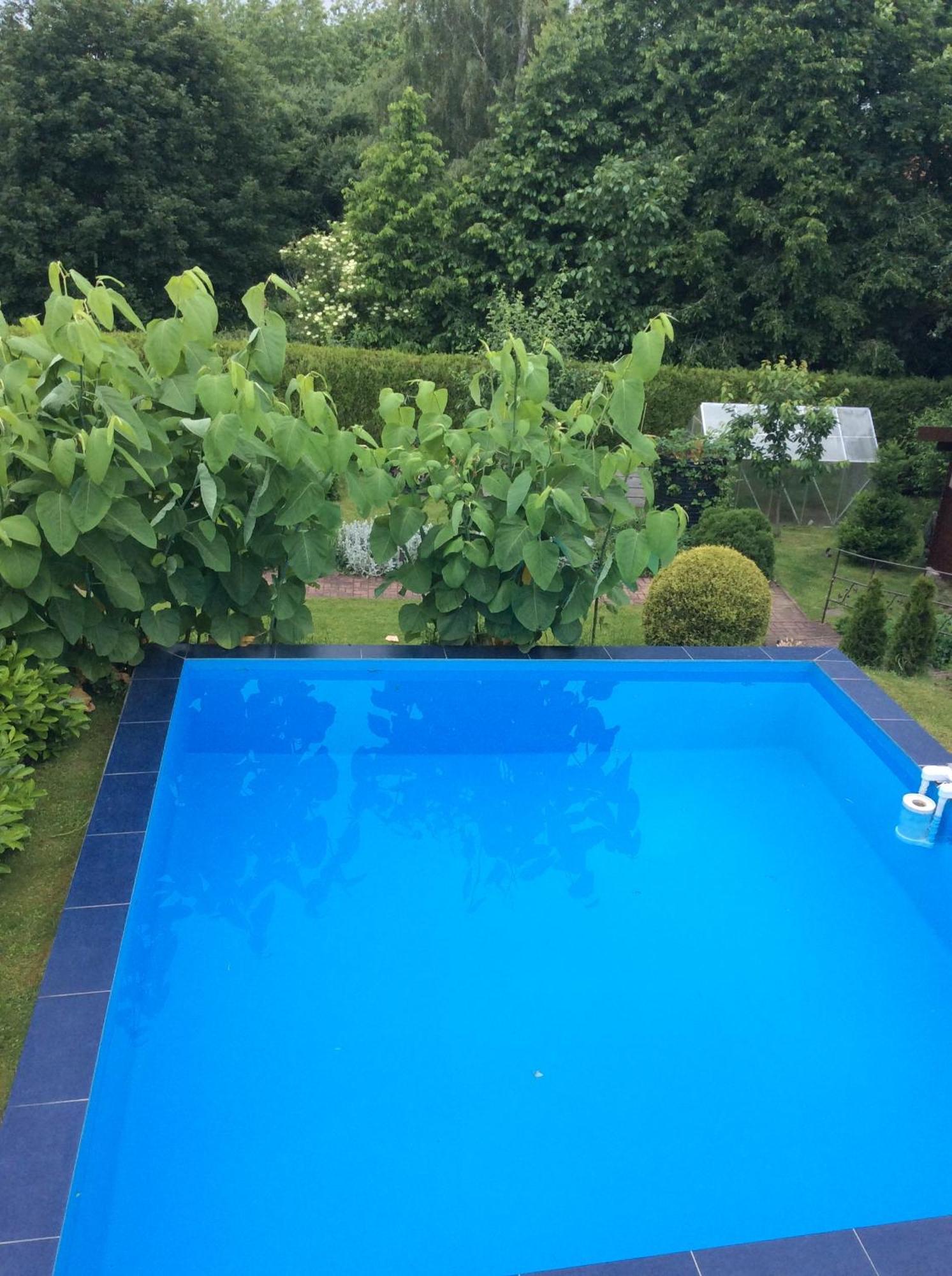 Ferienhaus Greiling Quedlinburg Ngoại thất bức ảnh